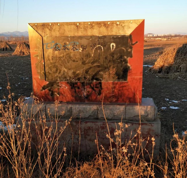 20户农民从村里分的46亩基本生活田原来是“林地”--秦皇岛太和寨村民三次下跪现场领导